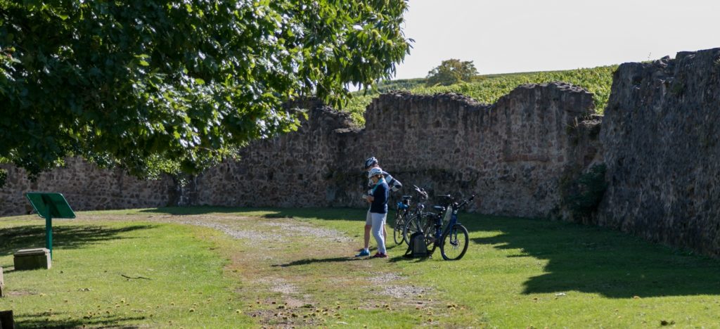 chatenois-51-cycliste-remparts