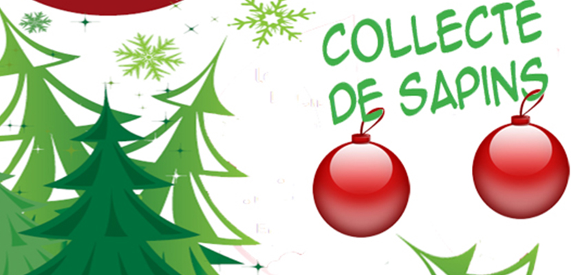 Ramassage des sapins de Noël