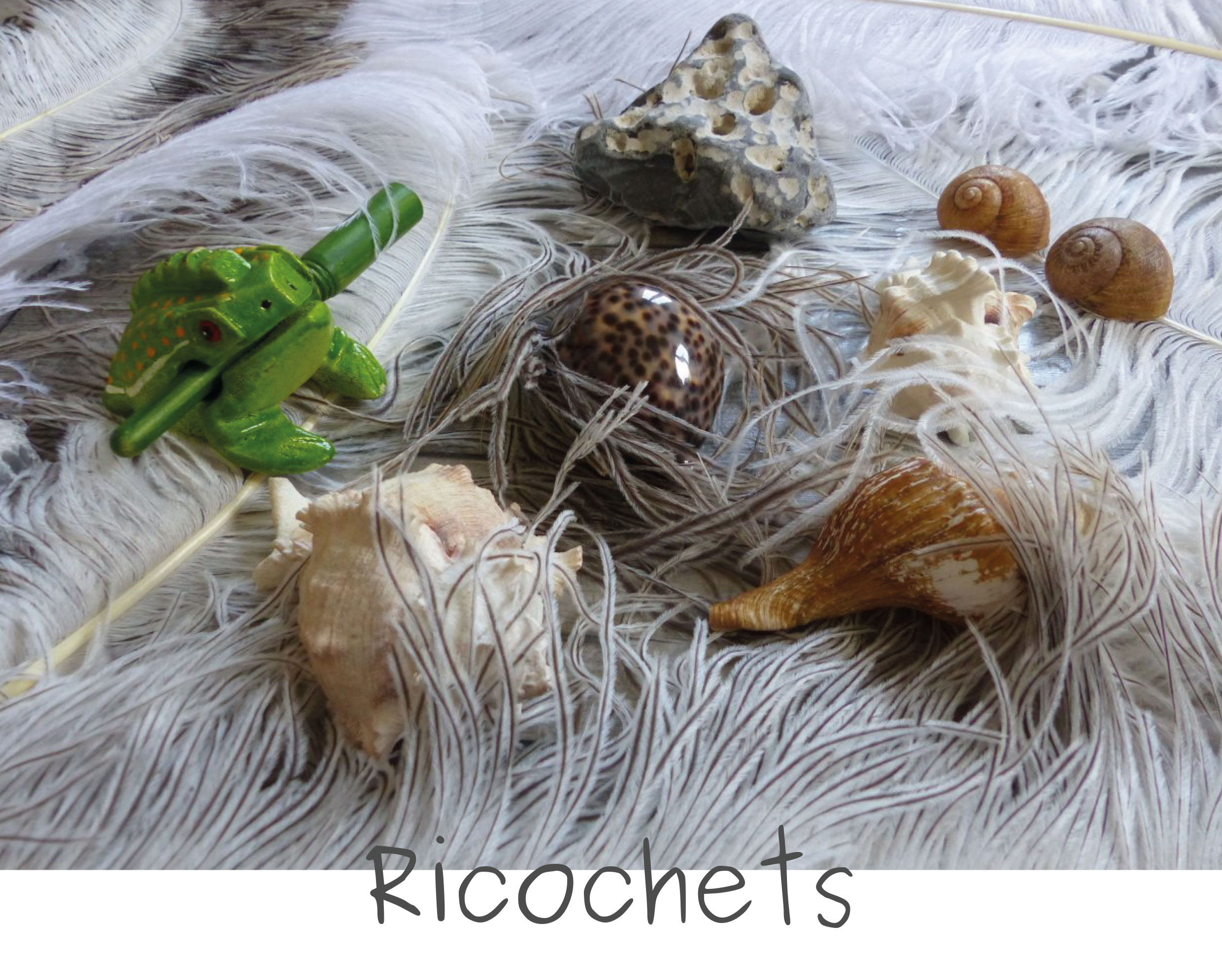 Affiche-Ricochets