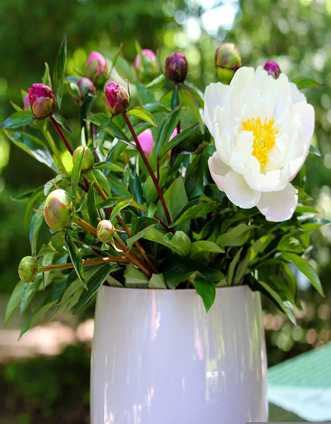 2023-05-12 Atelier floral Pivoines