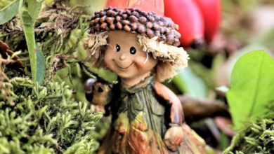 Jardin miniature