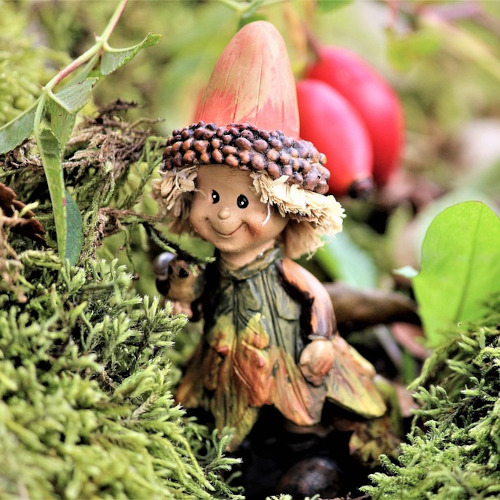 2023-04-26 Jardin-miniature