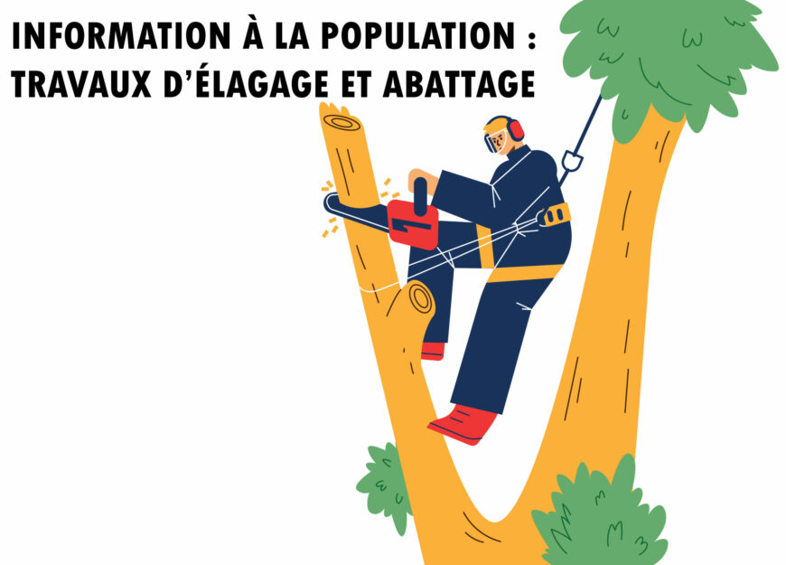 Information à la population : travaux d’élagage et abattage sur la Commune de Châtenois