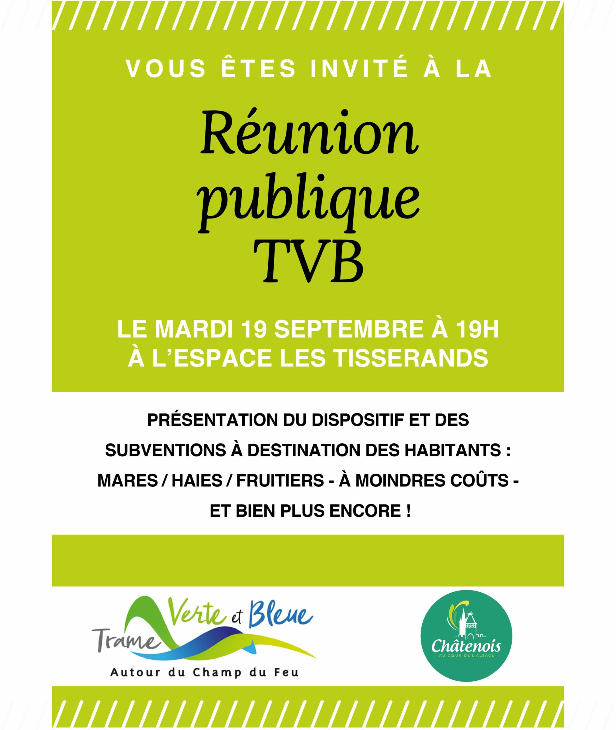 Affiche TVB_VF
