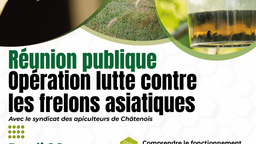 Réunion publique : Opération lutte contre les frelons asiatiques