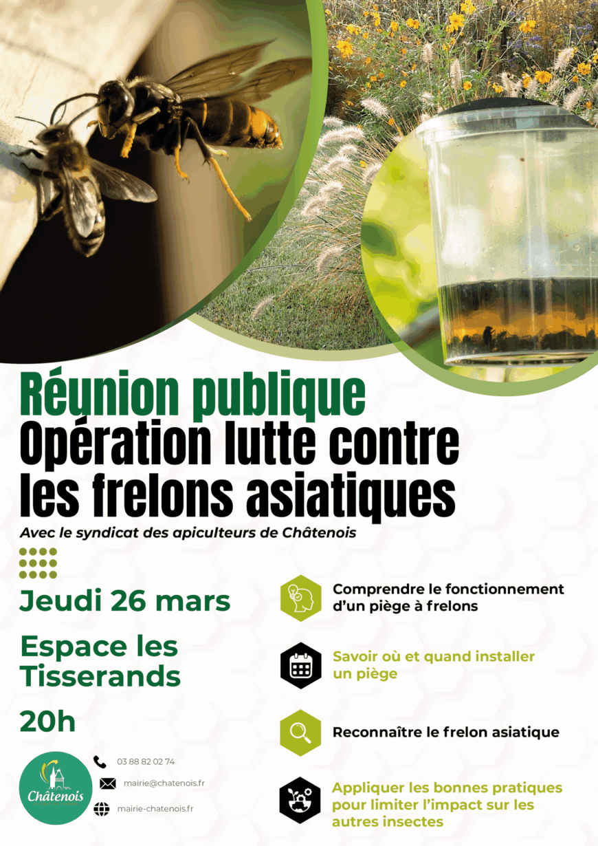 Réunion publique : Opération lutte contre les frelons asiatiques